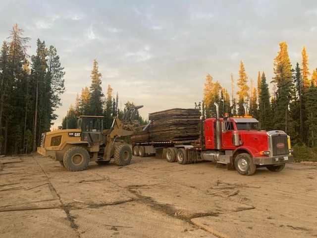 Do You Need Swamp Mats, Access Mats or Rig Mats?