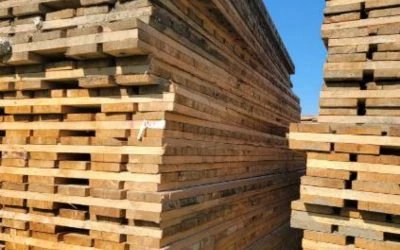 Environmental Benefits of CLT Access Mats: A Greener Choice